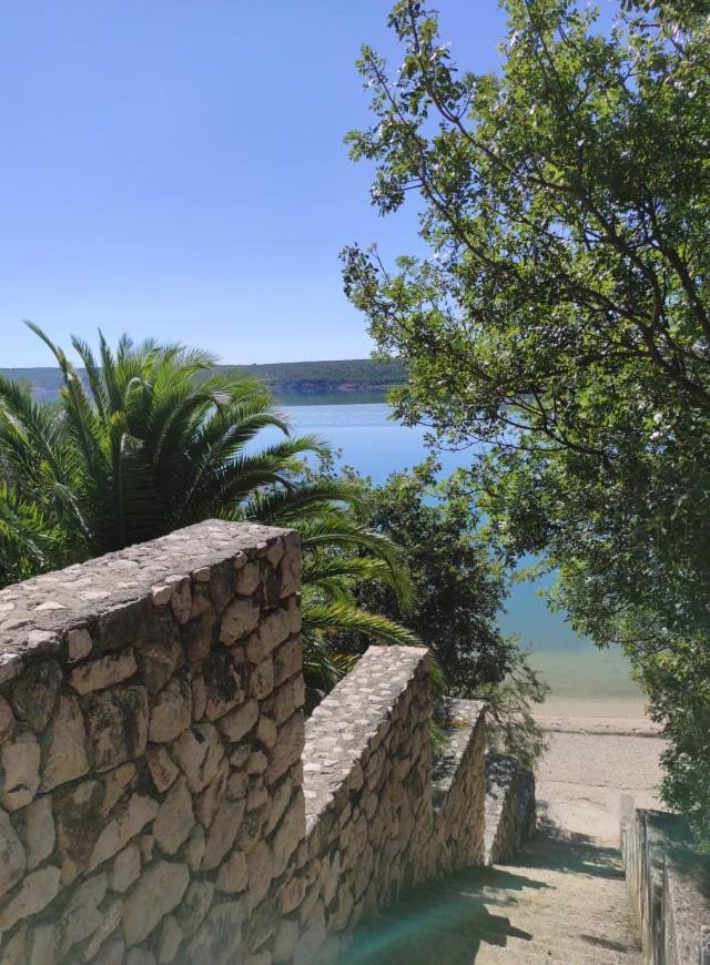 Knezevic Apartamento *